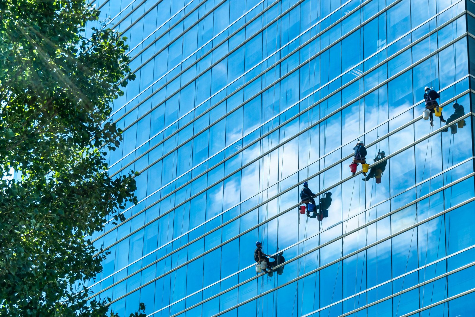 Exterior Maintenance & Cleaning In Los angeles and long beech