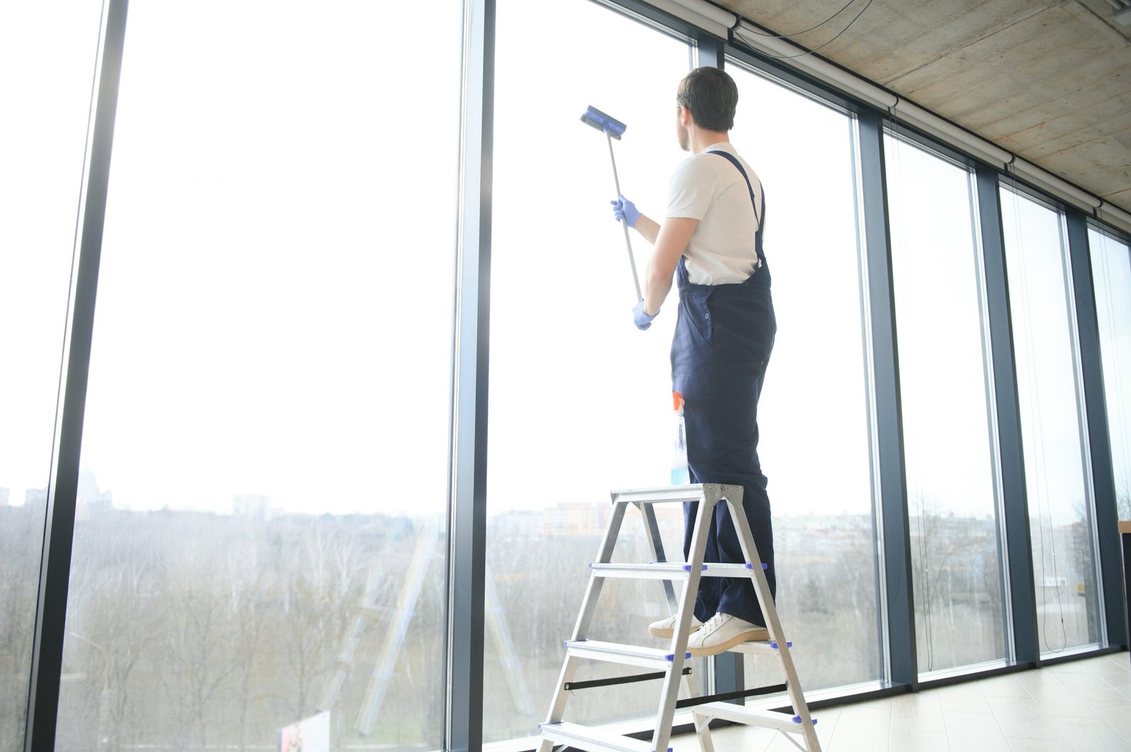 Window Cleaning Service In Los Angeles