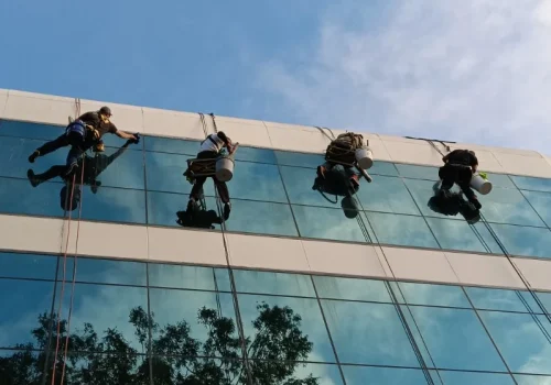 Window Washing