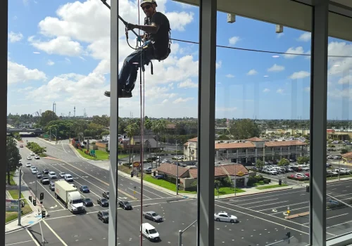 Other Specialized Projects